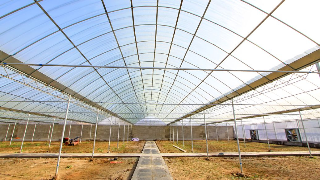 溫室大棚骨架生產(chǎn)廠家 優(yōu)質(zhì)大棚管價(jià)格